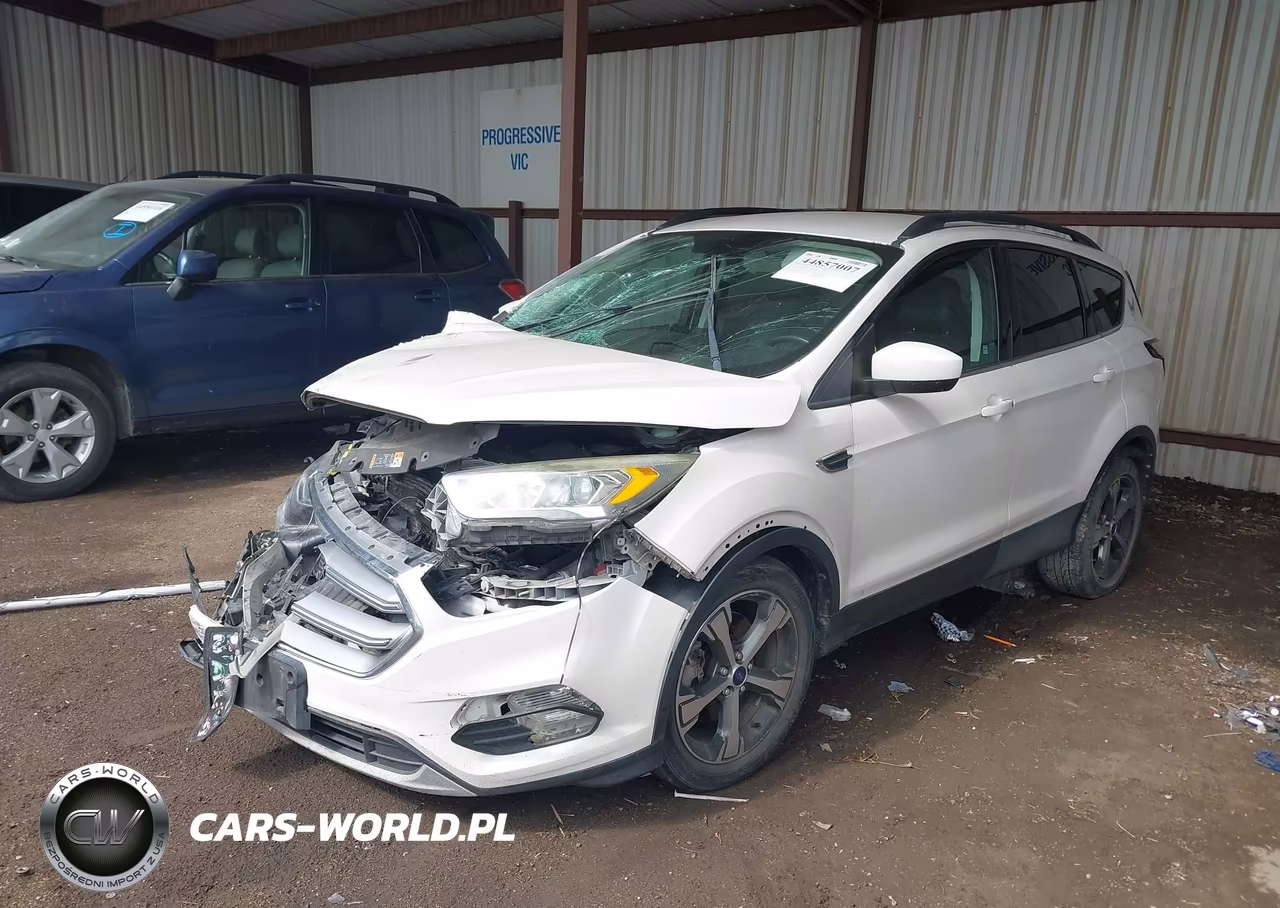 2017 Ford Escape Se VIN:1FMCU0G98HUD10564 - 2