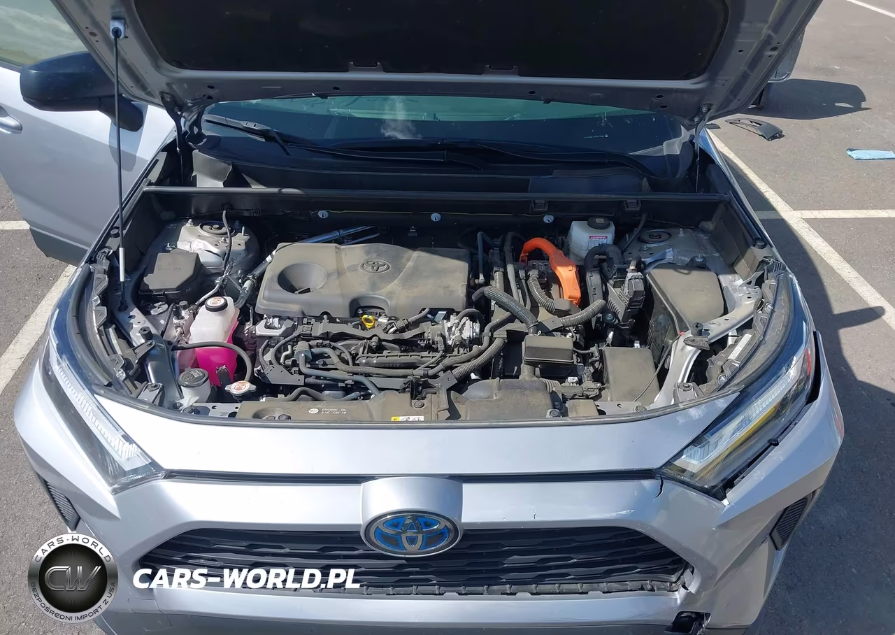 2024 Toyota Rav4 Hybrid Le VIN:JTMLWRFV6RD243093 - 10