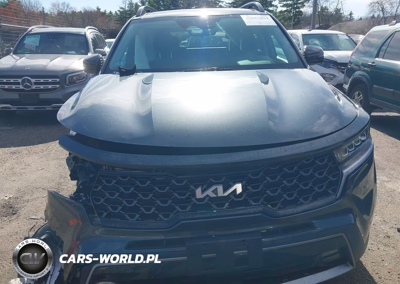 2022 Kia Sorento X-Line Ex VIN:5XYRHDLF8NG114207 - 13