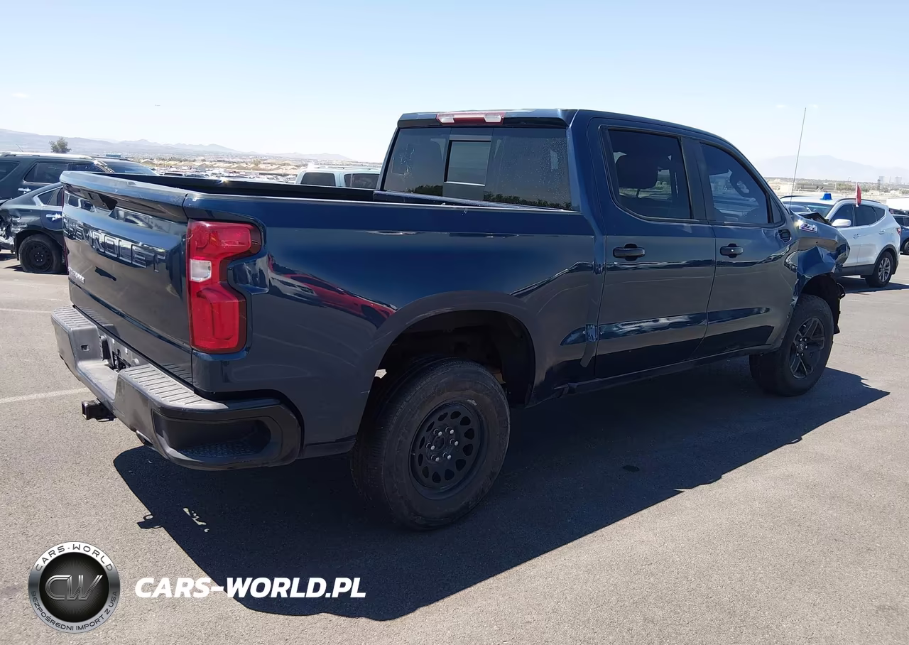 2020 Chevrolet Silverado 1500 4Wd Short Bed Lt Trail Boss VIN:1GCPYFED8LZ292860 - 4