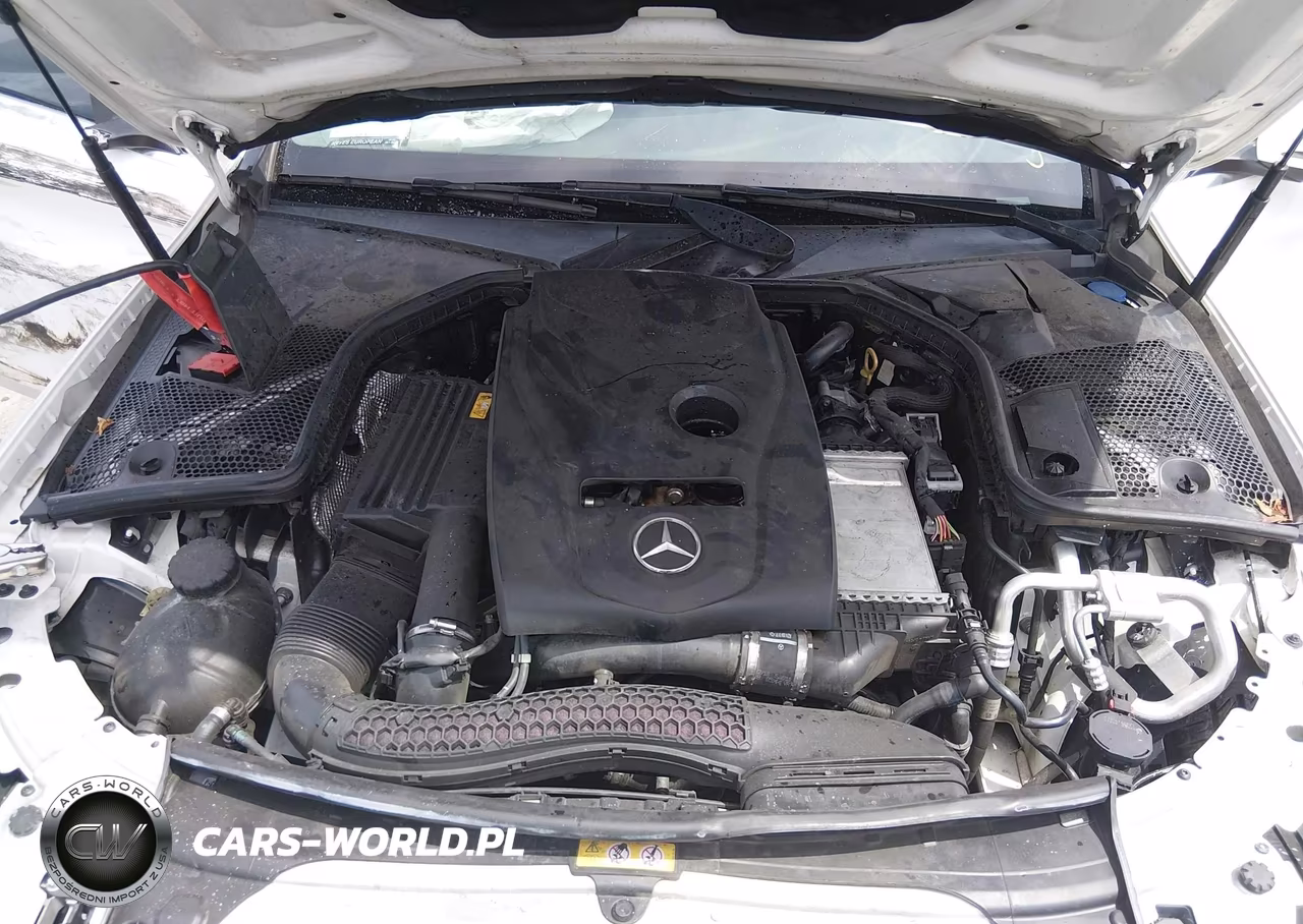 2018 Mercedes-Benz C 300 VIN:55SWF4JB7JU268786 - 10