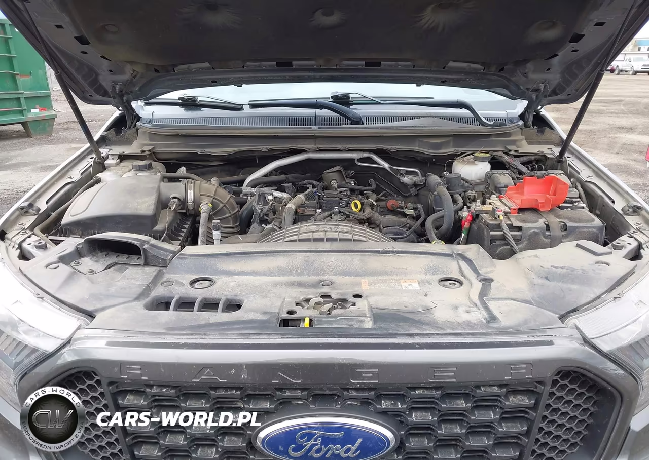 2021 Ford Ranger Xlt VIN:1FTER1FH0MLD10894 - 10
