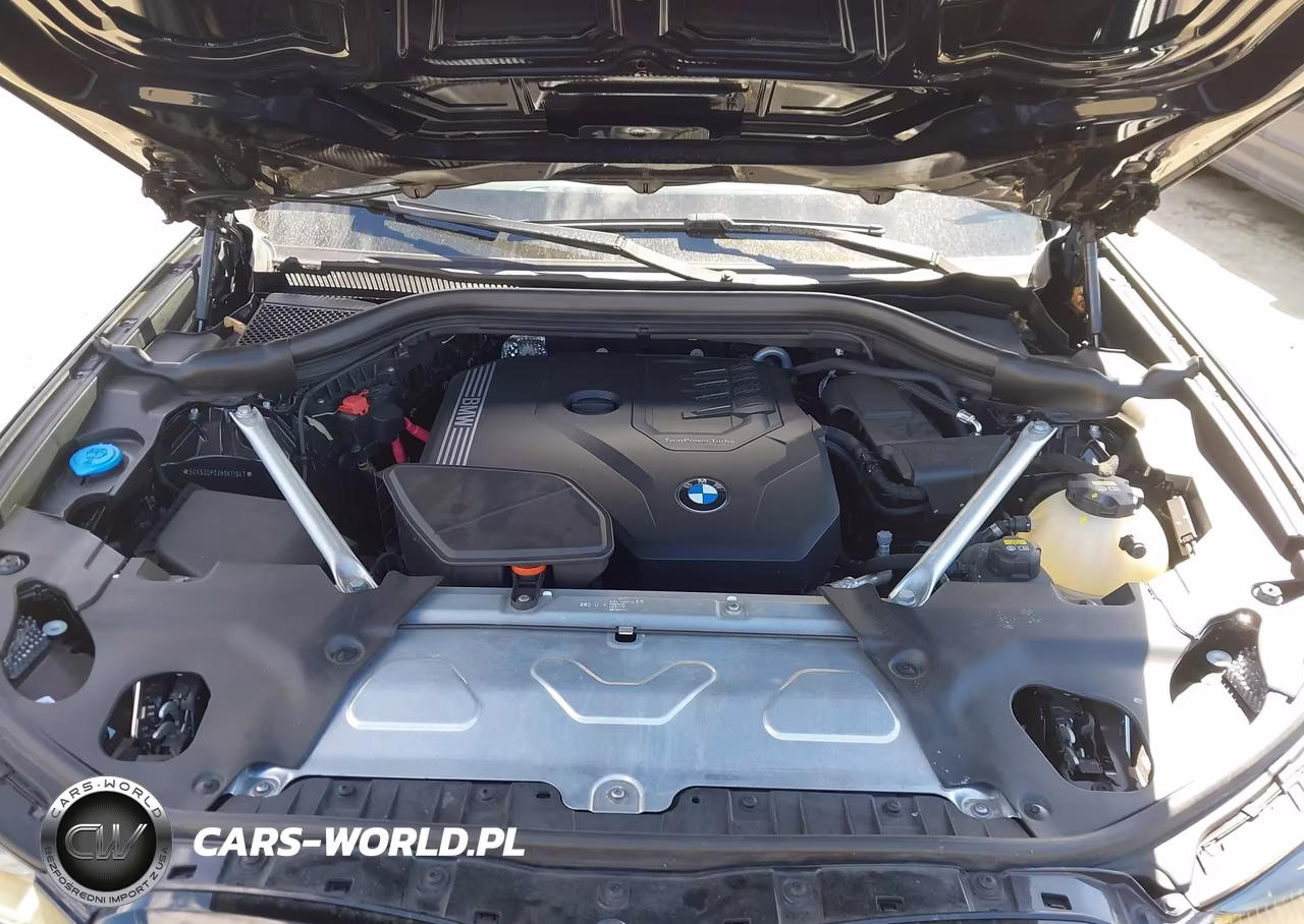 2022 BMW X3 xDrive30I VIN:5UX53DP03N9K11947 - 10