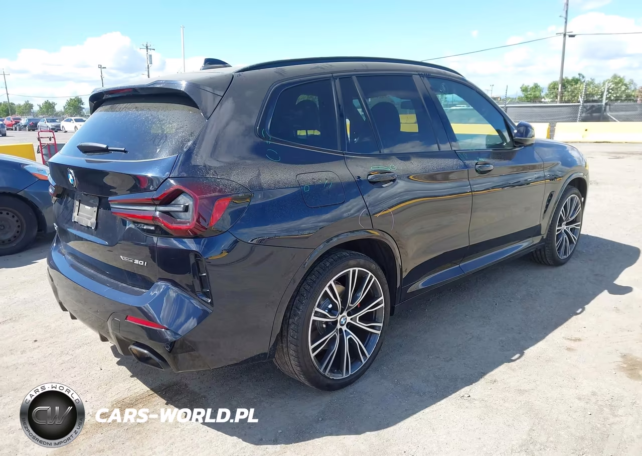 2022 BMW X3 xDrive30I VIN:5UX53DP03N9K11947 - 4