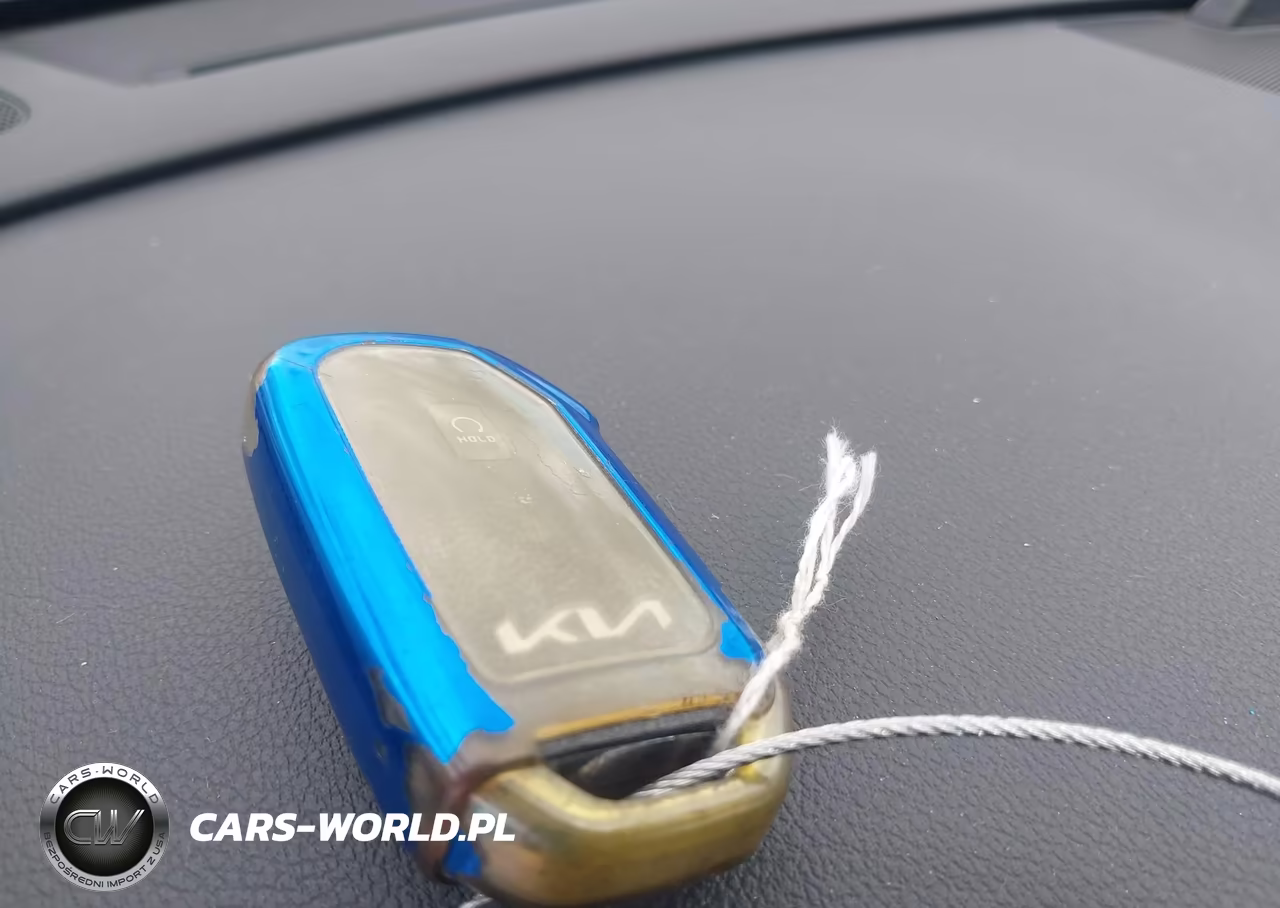 2022 Kia Niro Ev Ex VIN:KNDCC3LG4N5142828 - 11