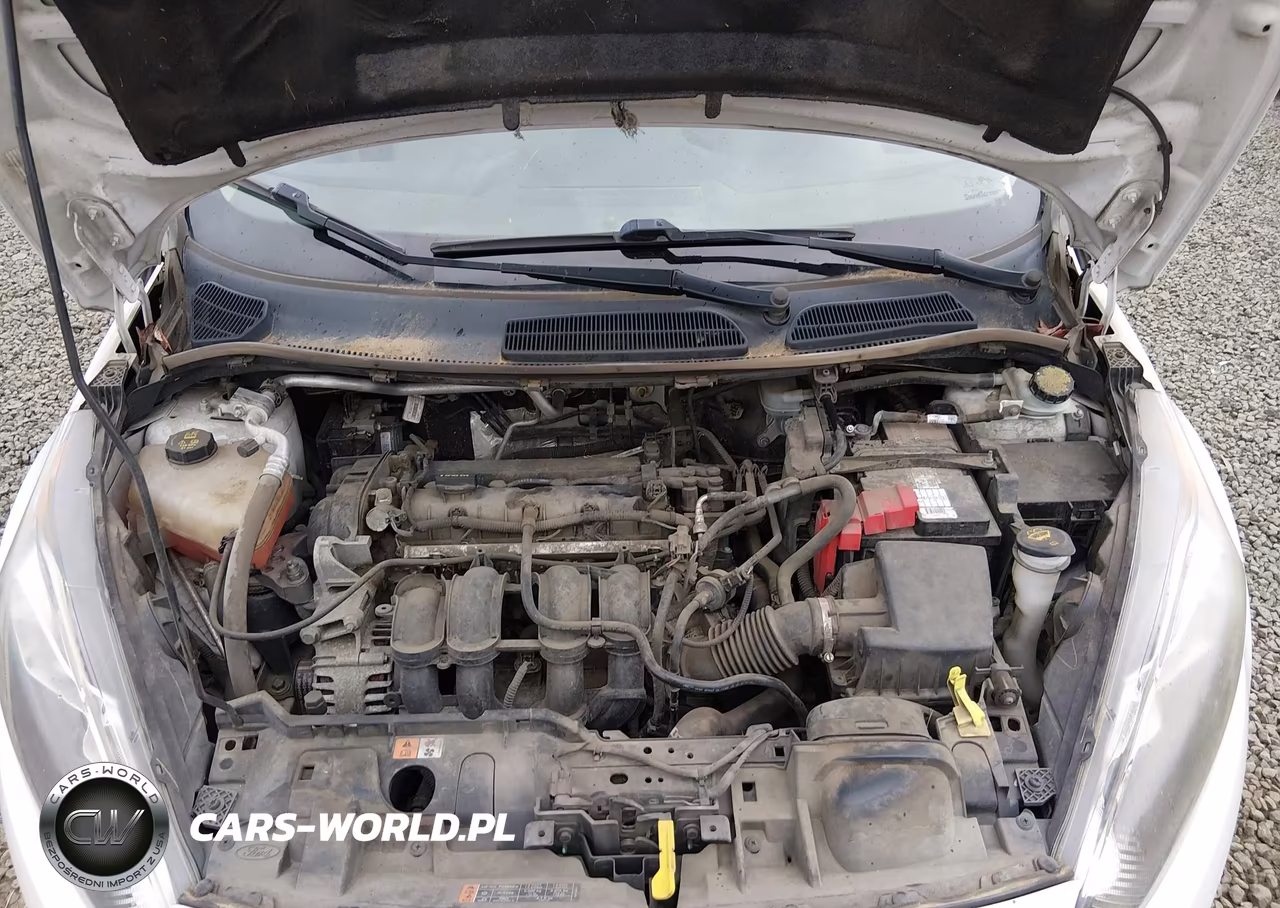 2015 Ford Fiesta Se VIN:3FADP4BJ7FM159264 - 10