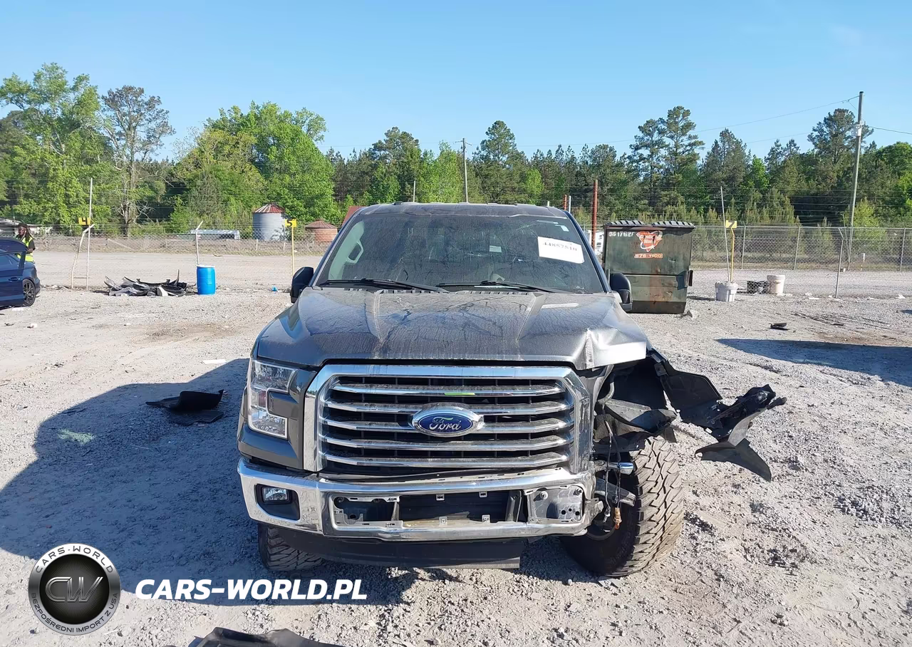 2016 Ford F-150 Xlt VIN:1FTEW1CP5GFD33059 - 12