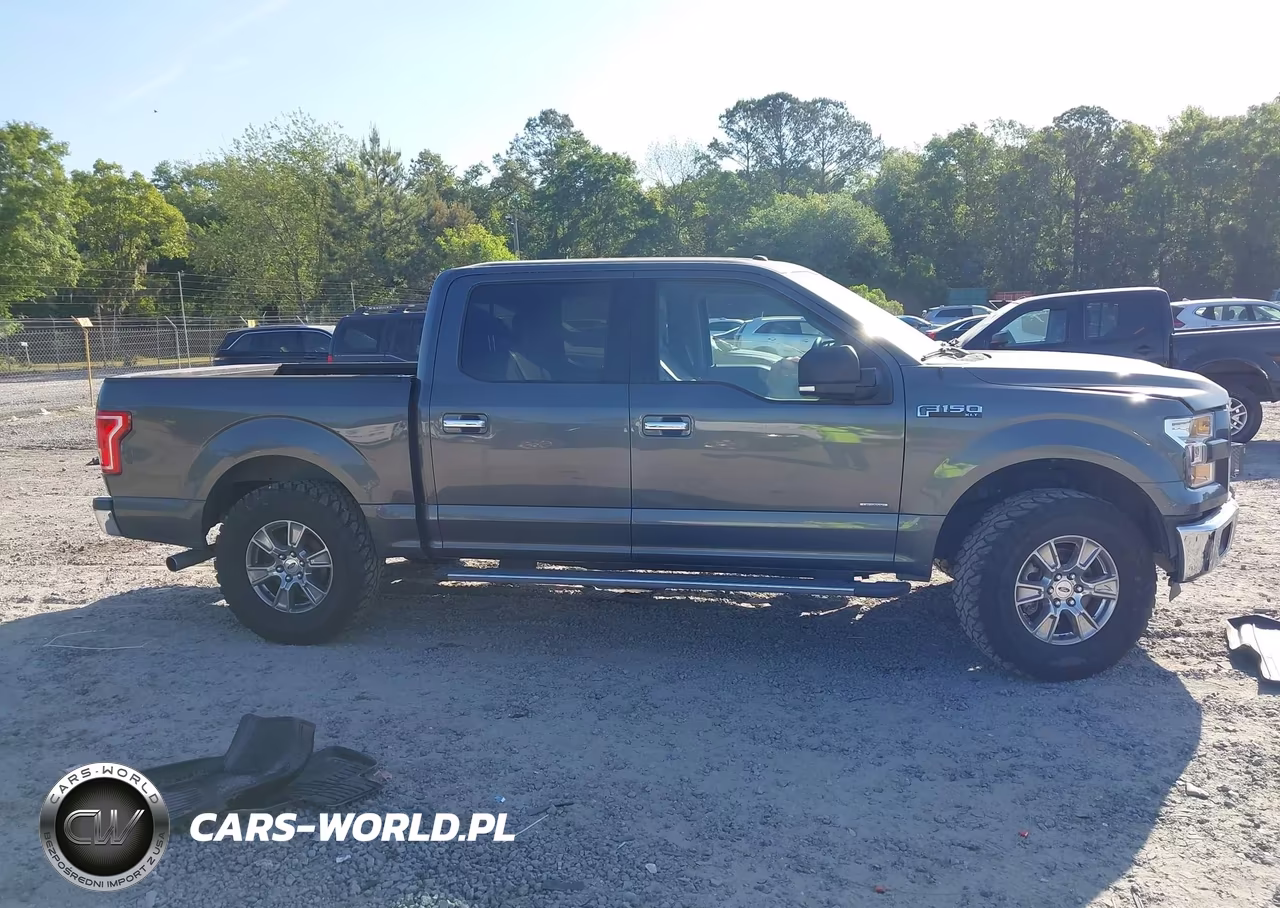 2016 Ford F-150 Xlt VIN:1FTEW1CP5GFD33059 - 13