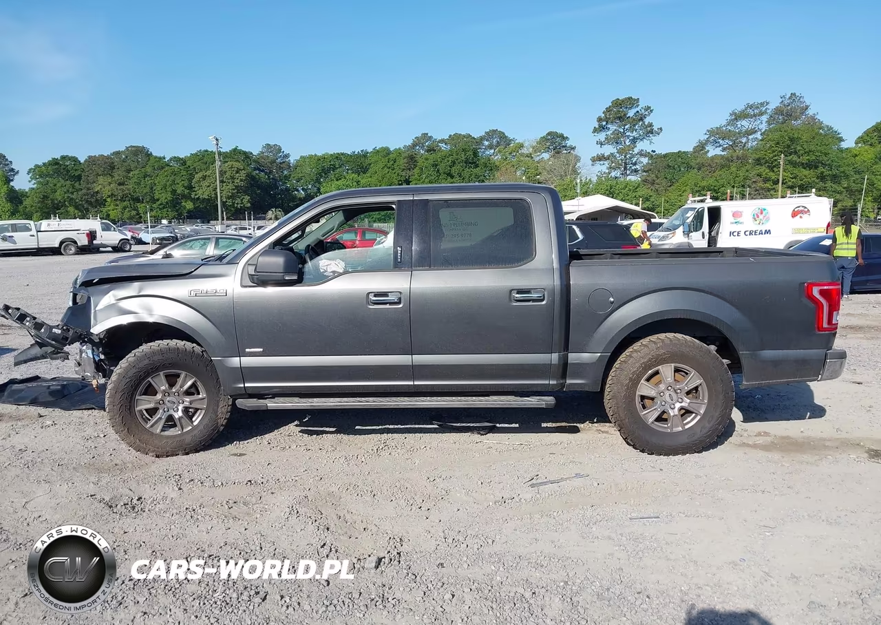 2016 Ford F-150 Xlt VIN:1FTEW1CP5GFD33059 - 14