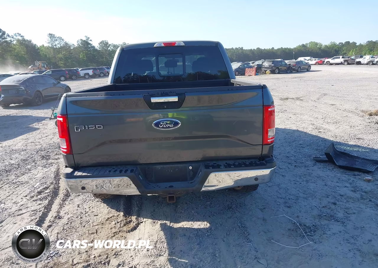 2016 Ford F-150 Xlt VIN:1FTEW1CP5GFD33059 - 16