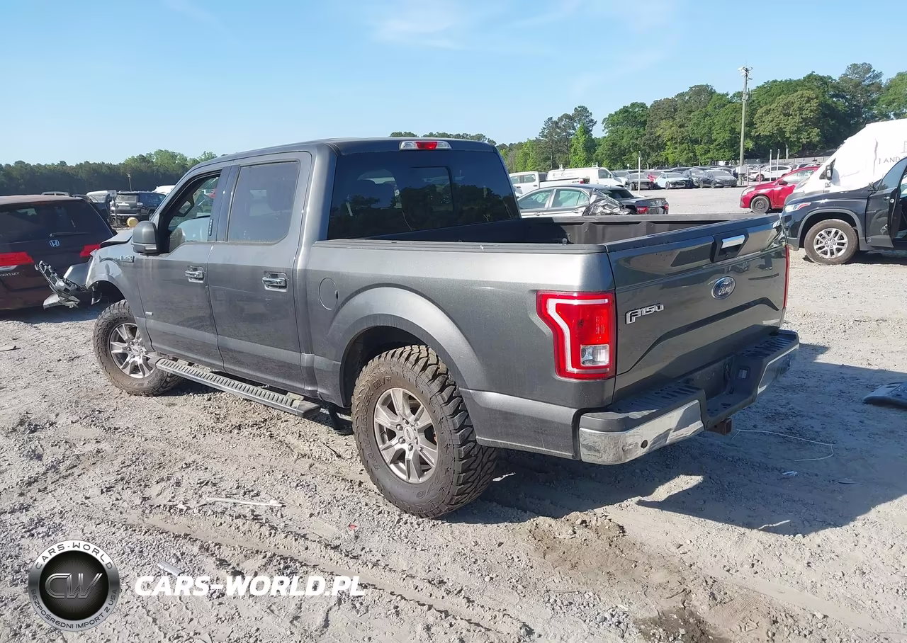 2016 Ford F-150 Xlt VIN:1FTEW1CP5GFD33059 - 3