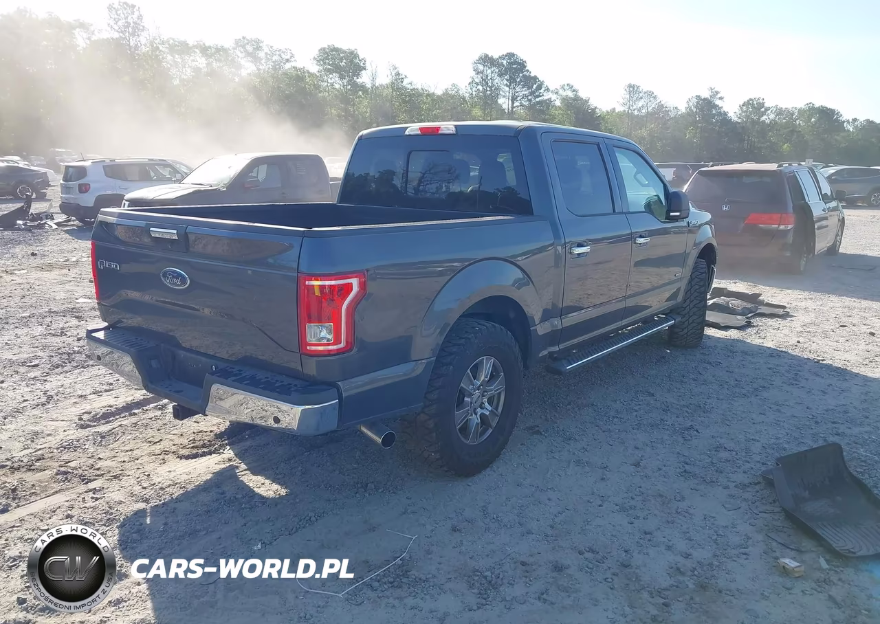 2016 Ford F-150 Xlt VIN:1FTEW1CP5GFD33059 - 4