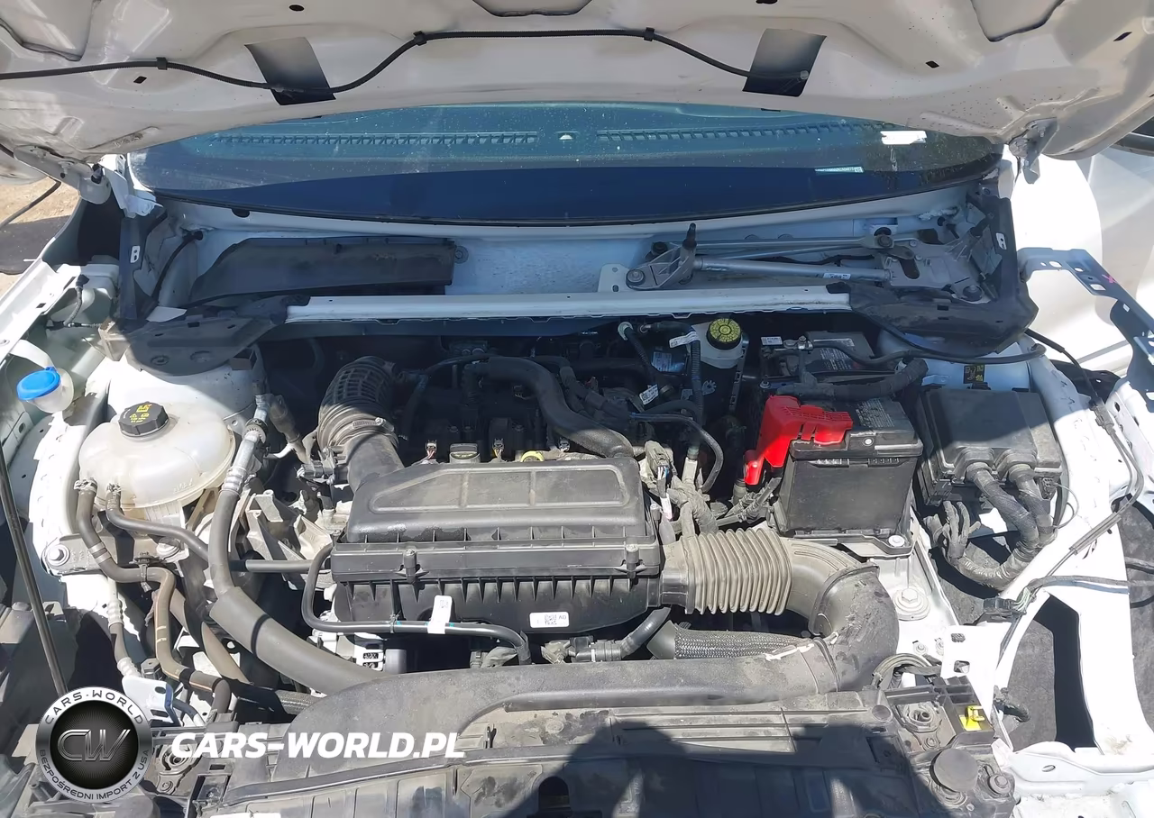 2024 Ford Escape St-Line VIN:1FMCU0MN6RUA04272 - 10