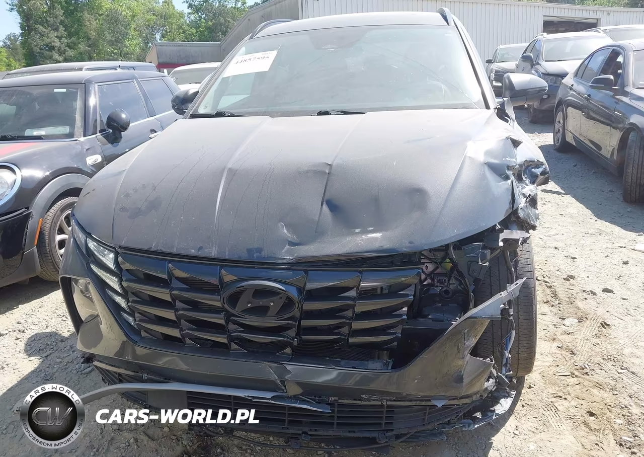 2023 Hyundai Tucson Sel VIN:5NMJF3AE7PH256726 - 12