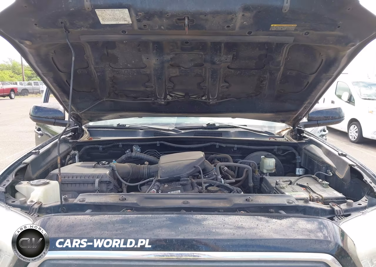 2016 Toyota Tacoma Sr5 VIN:5TFAX5GNXGX072520 - 10