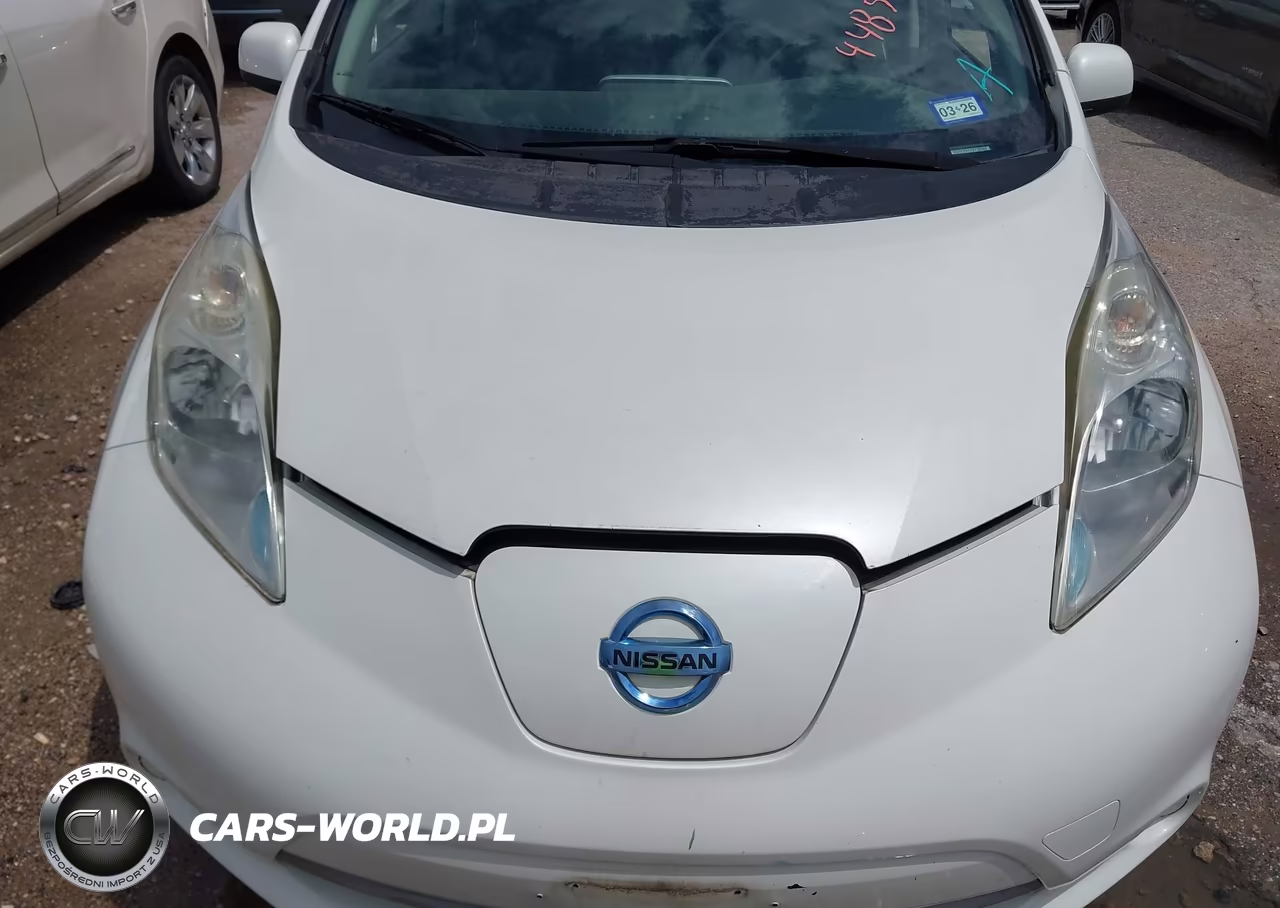 2016 Nissan Leaf S VIN:1N4AZ0CP1GC302270 - 10