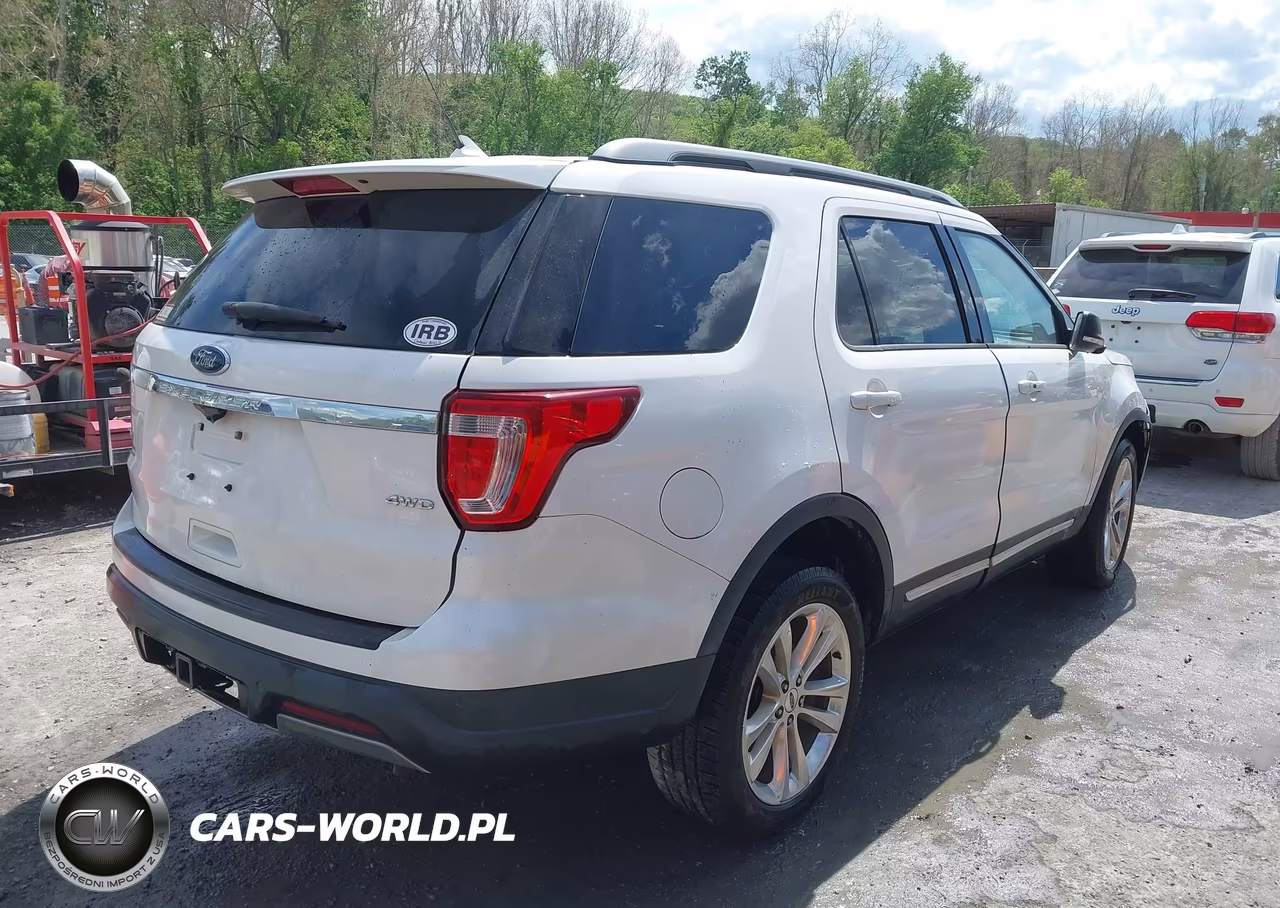 2019 Ford Explorer Xlt VIN:1FM5K8D87KGB52071 - 4