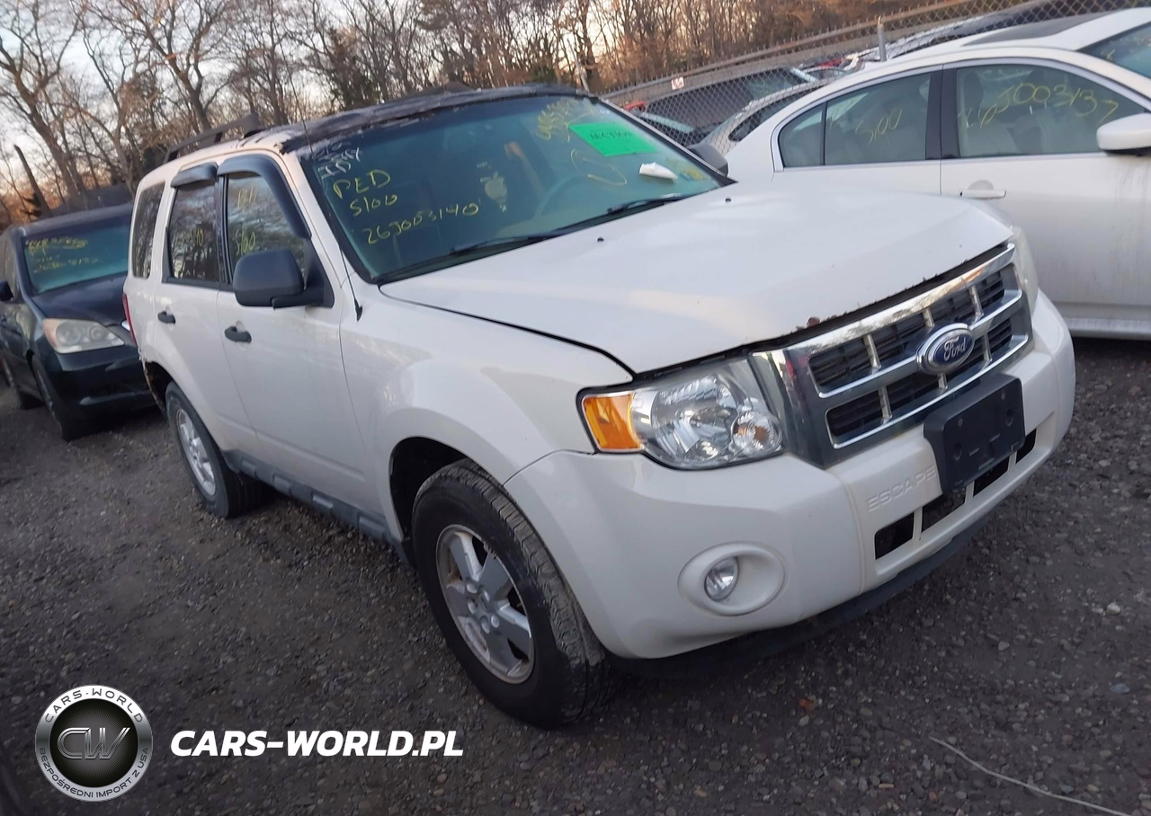 2010 Ford Escape Xlt