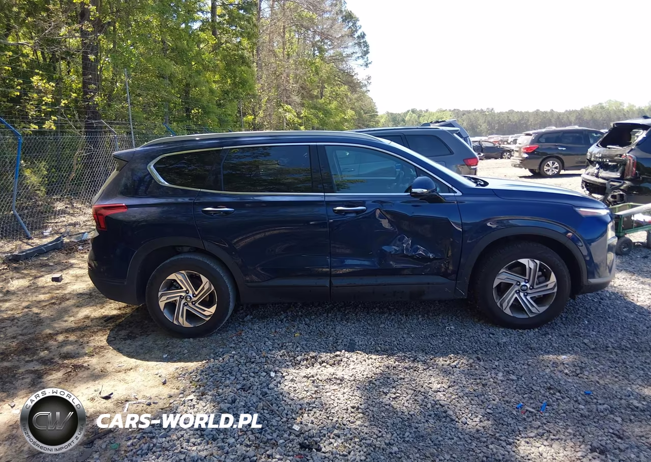 2023 Hyundai Santa Fe Sel VIN:5NMS24AJ5PH527527 - 13