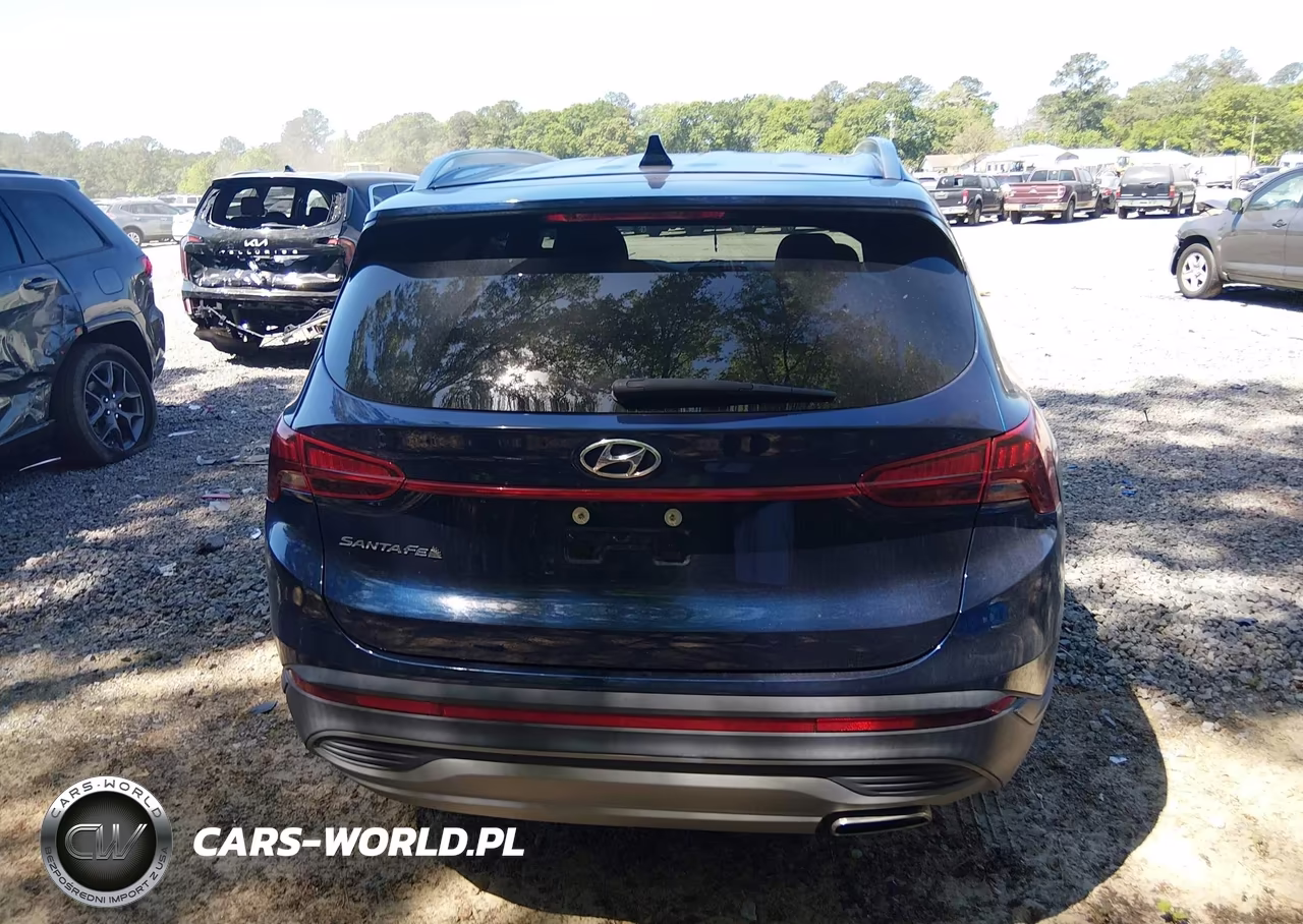 2023 Hyundai Santa Fe Sel VIN:5NMS24AJ5PH527527 - 16