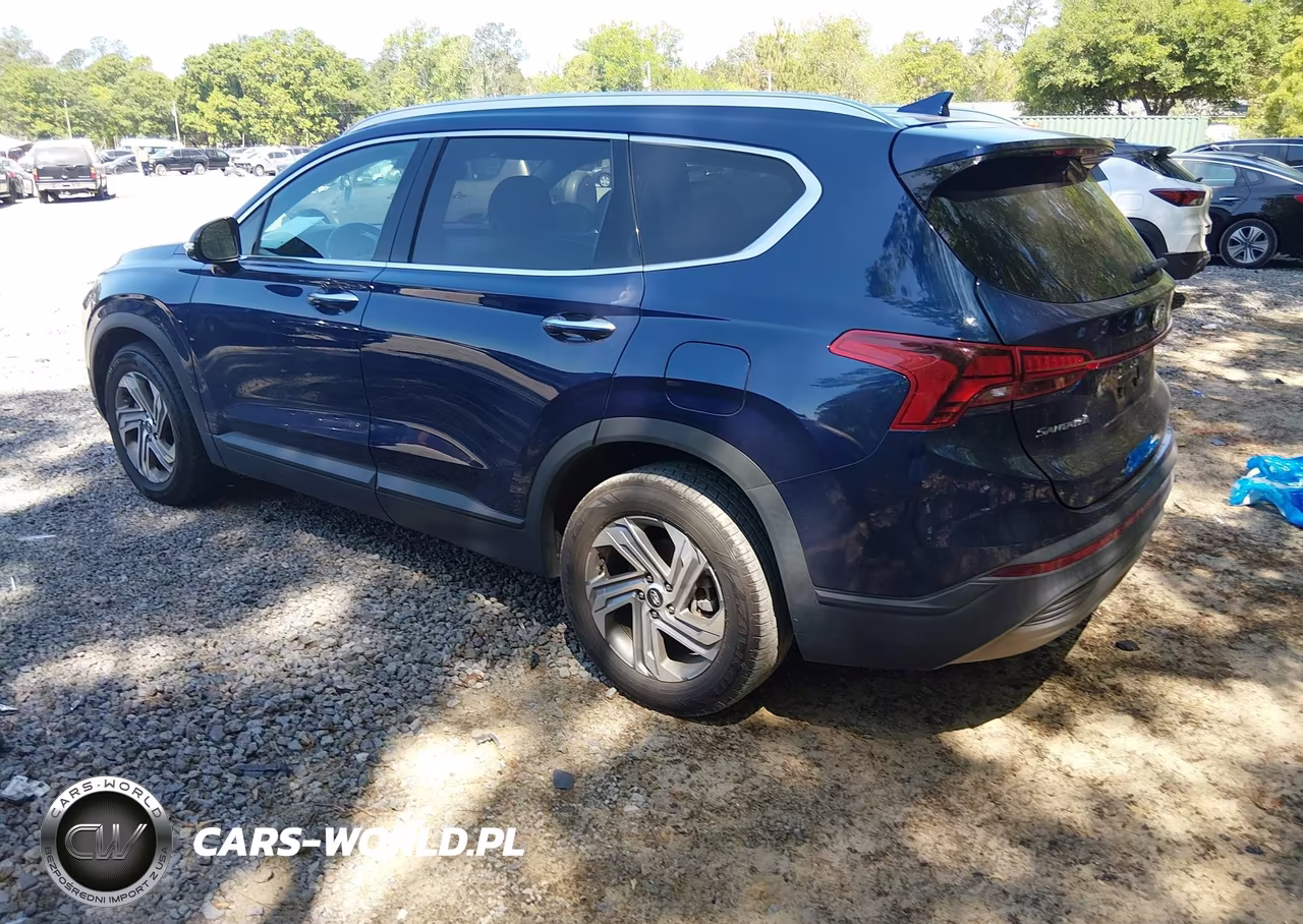 2023 Hyundai Santa Fe Sel VIN:5NMS24AJ5PH527527 - 3