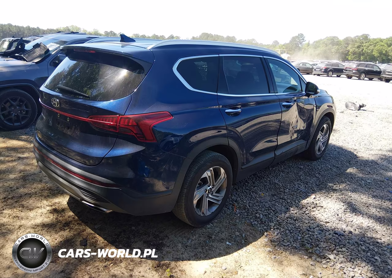2023 Hyundai Santa Fe Sel VIN:5NMS24AJ5PH527527 - 4
