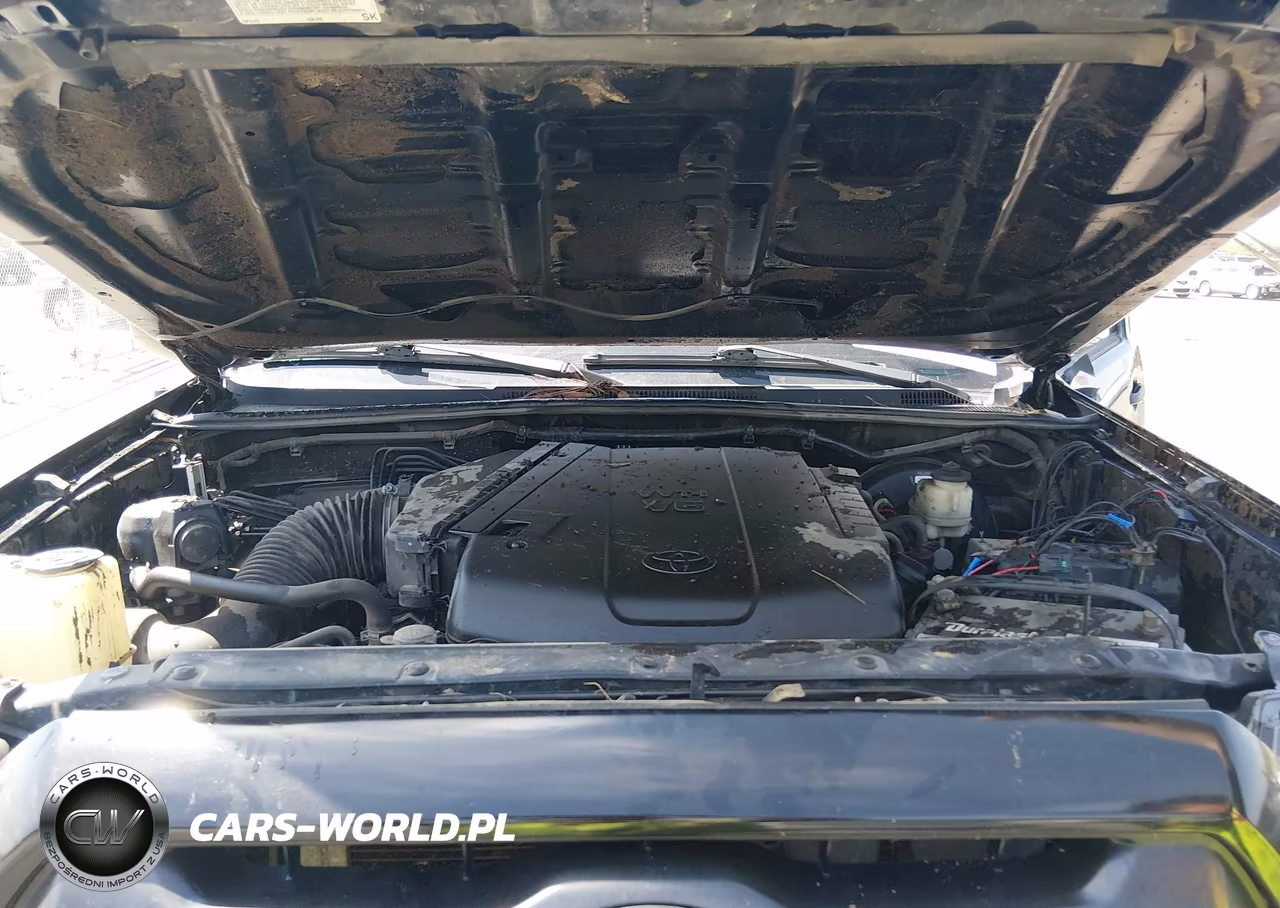 2015 Toyota Tacoma Base V6 VIN:3TMLU4EN7FM184310 - 10