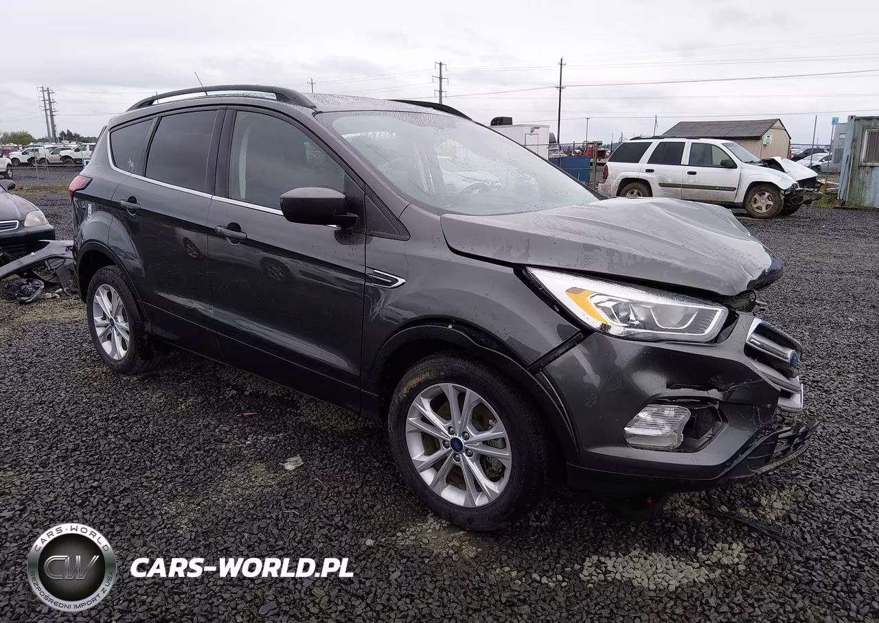 2019 Ford Escape Sel