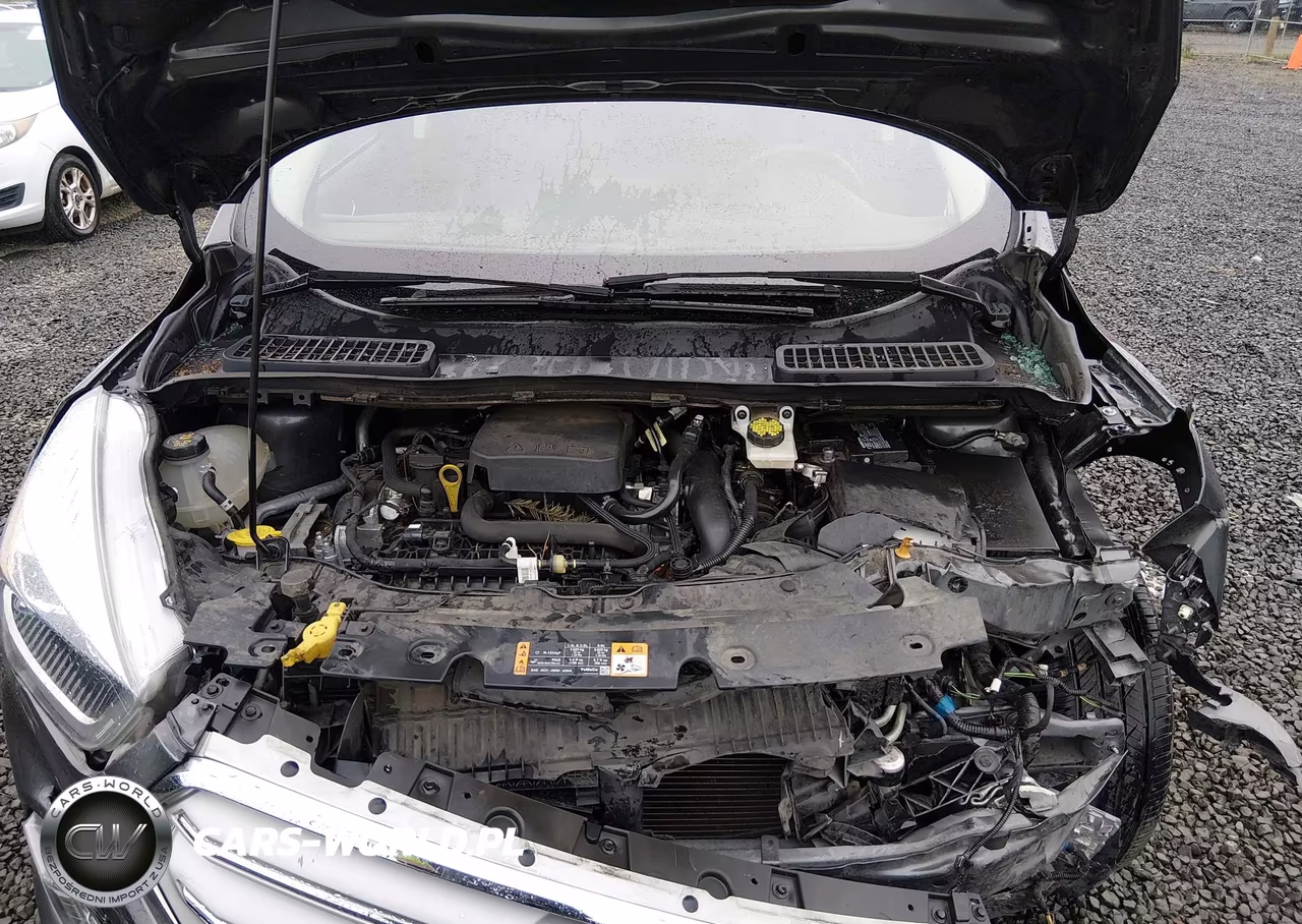 2019 Ford Escape Sel VIN:1FMCU9HDXKUC05474 - 10