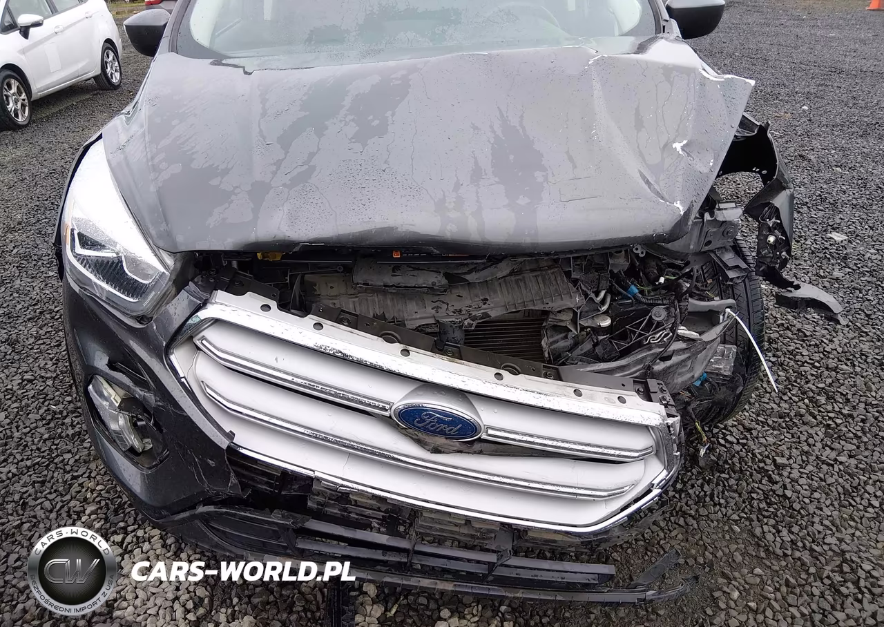 2019 Ford Escape Sel VIN:1FMCU9HDXKUC05474 - 6