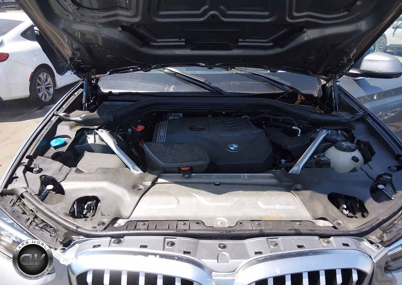 2024 BMW X3 xDrive30I VIN:5UX53DP01R9V95829 - 10