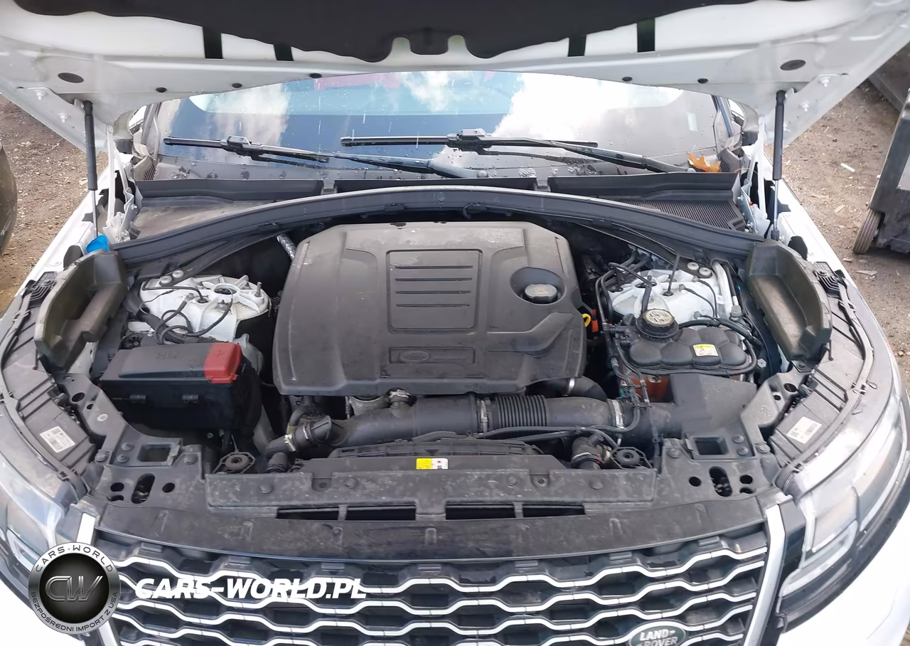2021 Land Rover Range Rover Velar P250 S VIN:SALYJ2EX8MA314103 - 10