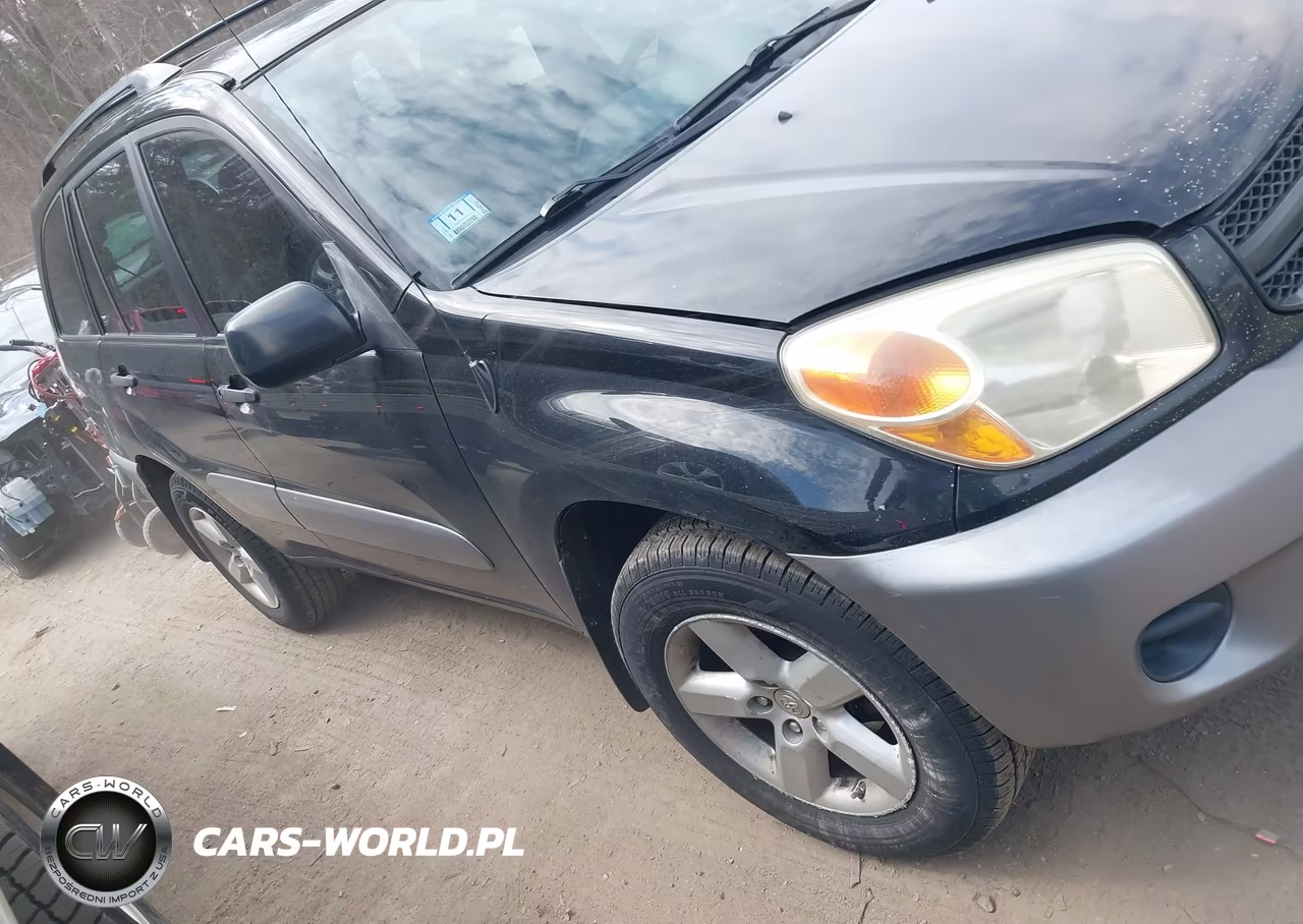 2004 Toyota Rav4
