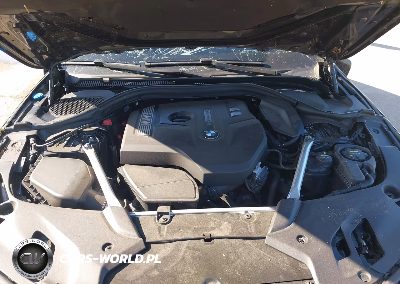 2019 BMW 530I VIN:WBAJA5C52KG900783 - 10