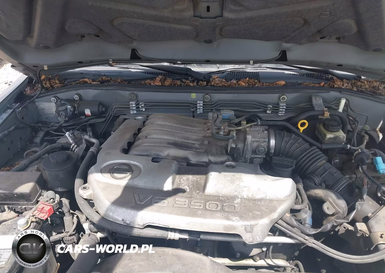 2003 Nissan Pathfinder Le VIN:JN8DR09X93W706235 - 10