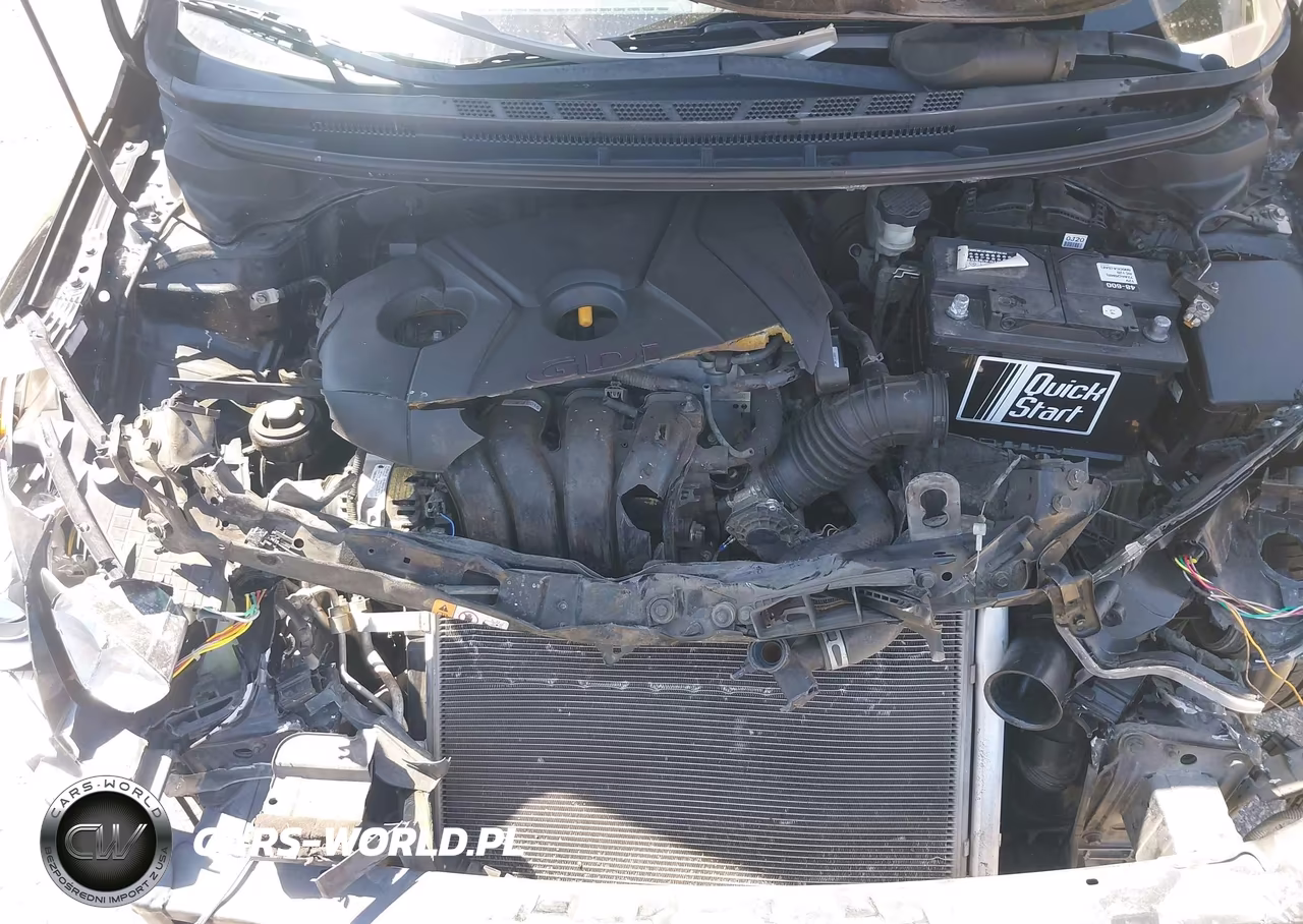 2016 Kia Forte Lx VIN:KNAFK5A85G5605986 - 10