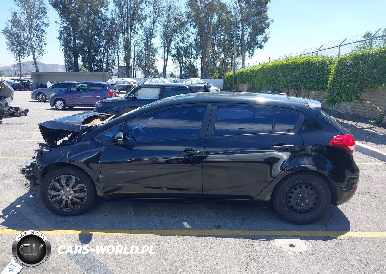 2016 Kia Forte Lx VIN:KNAFK5A85G5605986 - 15