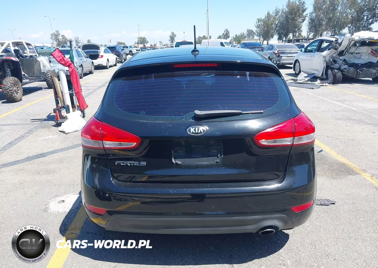 2016 Kia Forte Lx VIN:KNAFK5A85G5605986 - 17