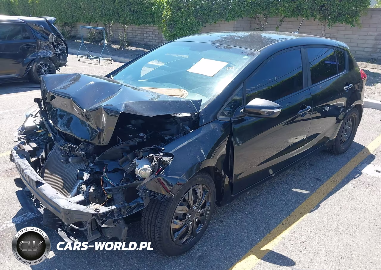 2016 Kia Forte Lx VIN:KNAFK5A85G5605986 - 2