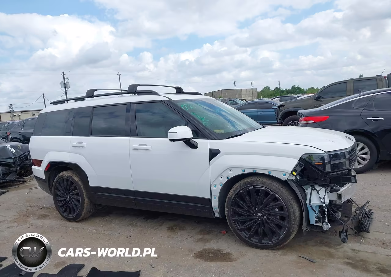 2025 Hyundai Santa Fe Calligraphy VIN:5NMP54GL5SH123478 - 13