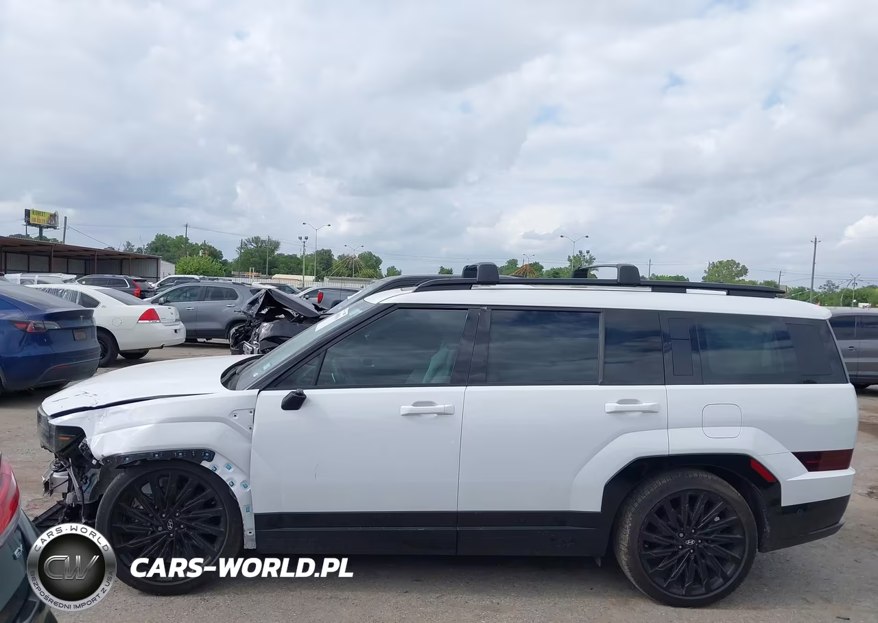 2025 Hyundai Santa Fe Calligraphy VIN:5NMP54GL5SH123478 - 14