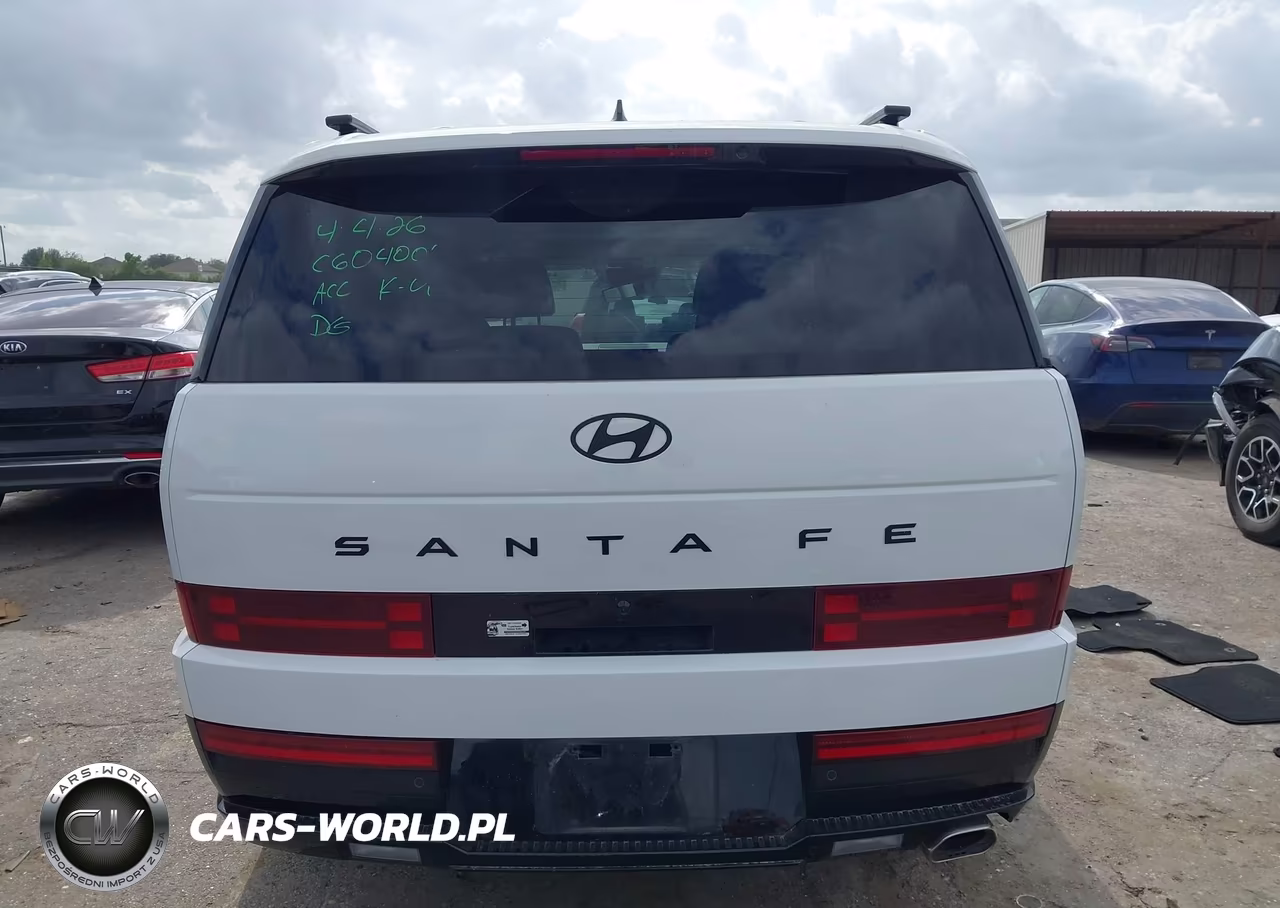 2025 Hyundai Santa Fe Calligraphy VIN:5NMP54GL5SH123478 - 16
