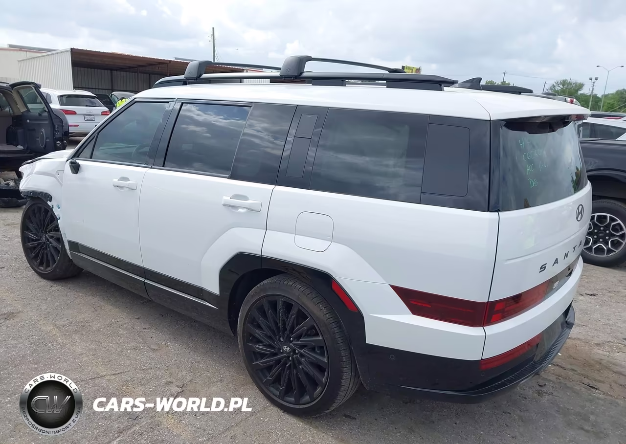 2025 Hyundai Santa Fe Calligraphy VIN:5NMP54GL5SH123478 - 3