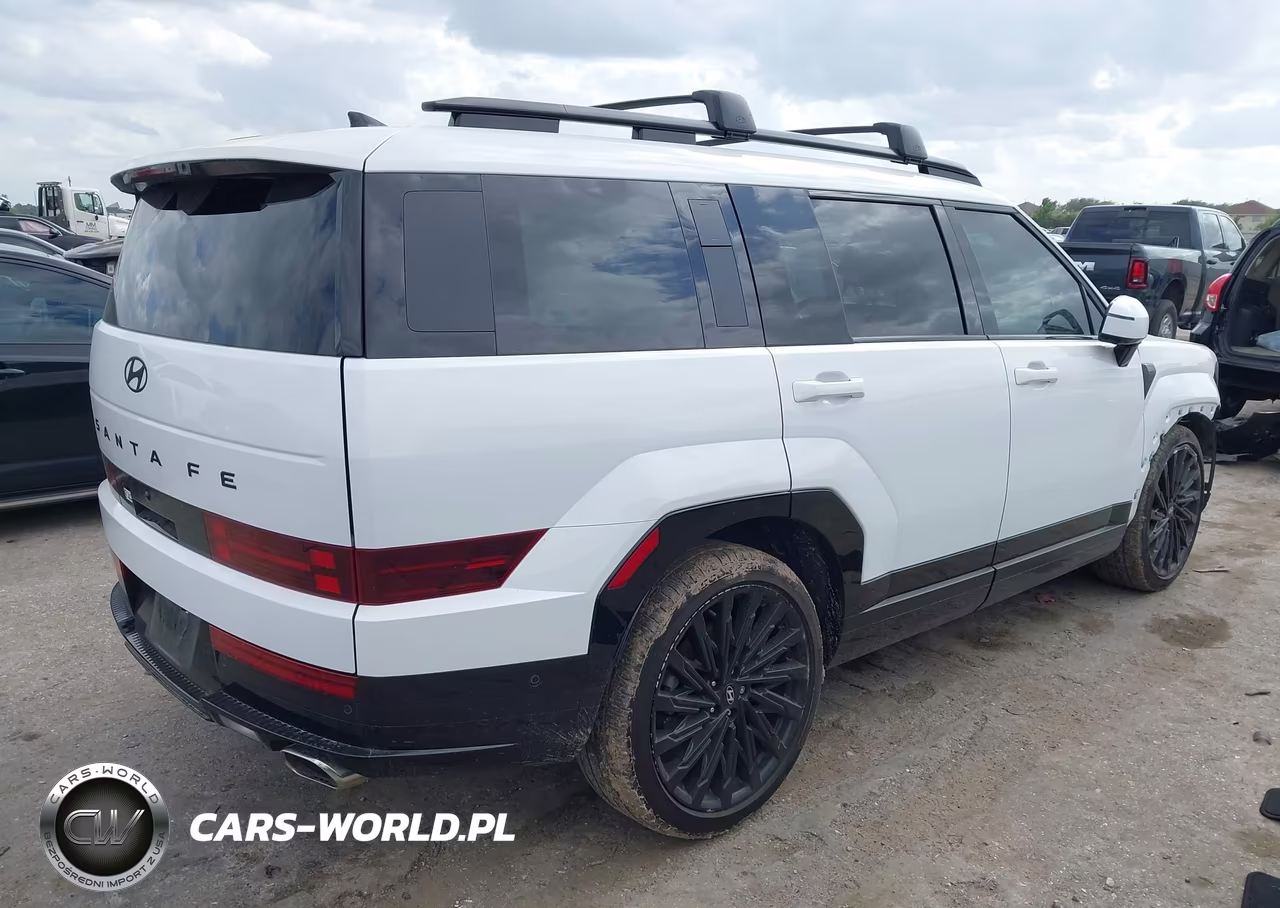 2025 Hyundai Santa Fe Calligraphy VIN:5NMP54GL5SH123478 - 4
