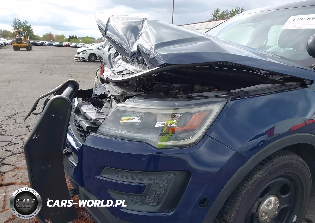 2017 Ford Utility Police Interceptor VIN:1FM5K8AR4HGC07873 - 18