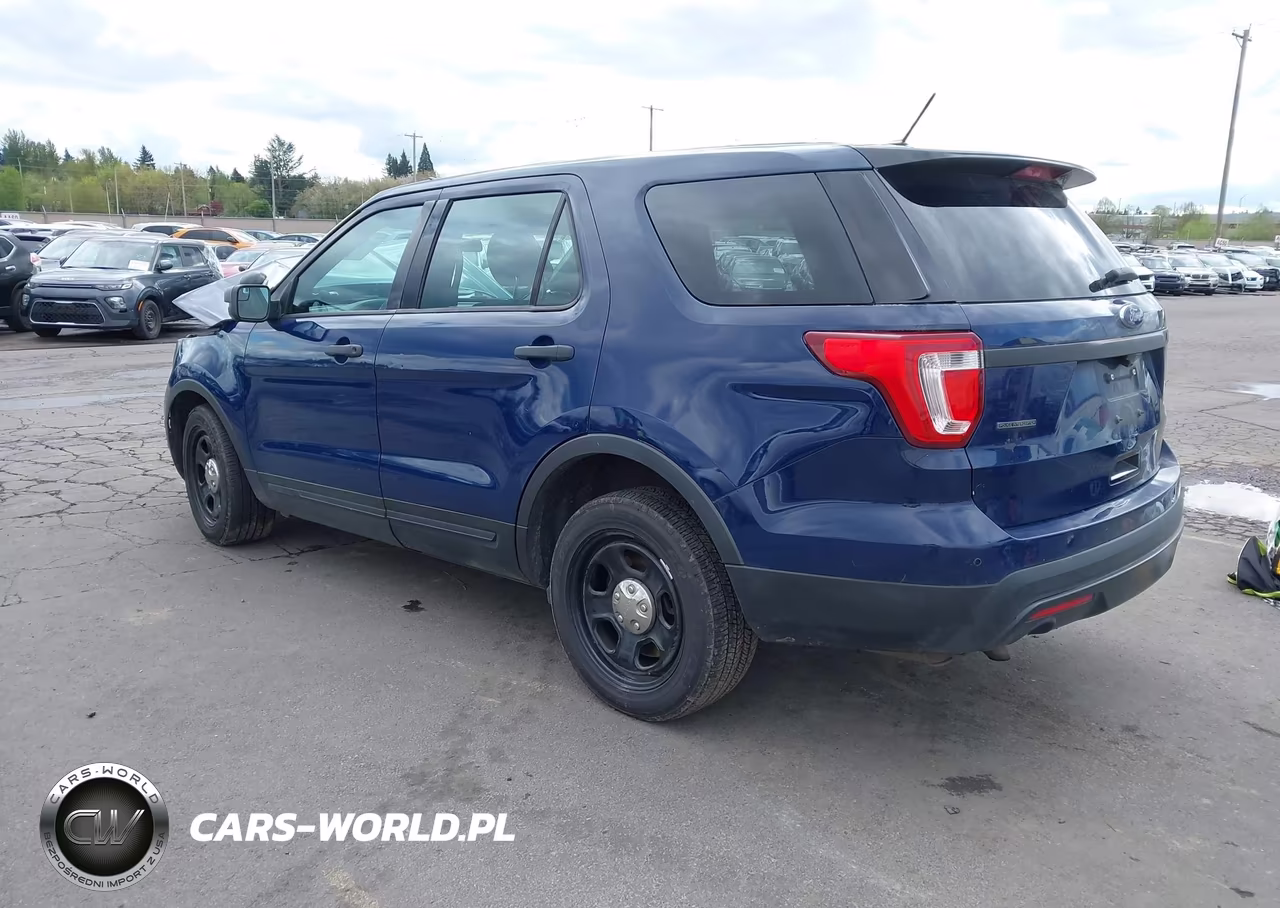 2017 Ford Utility Police Interceptor VIN:1FM5K8AR4HGC07873 - 3