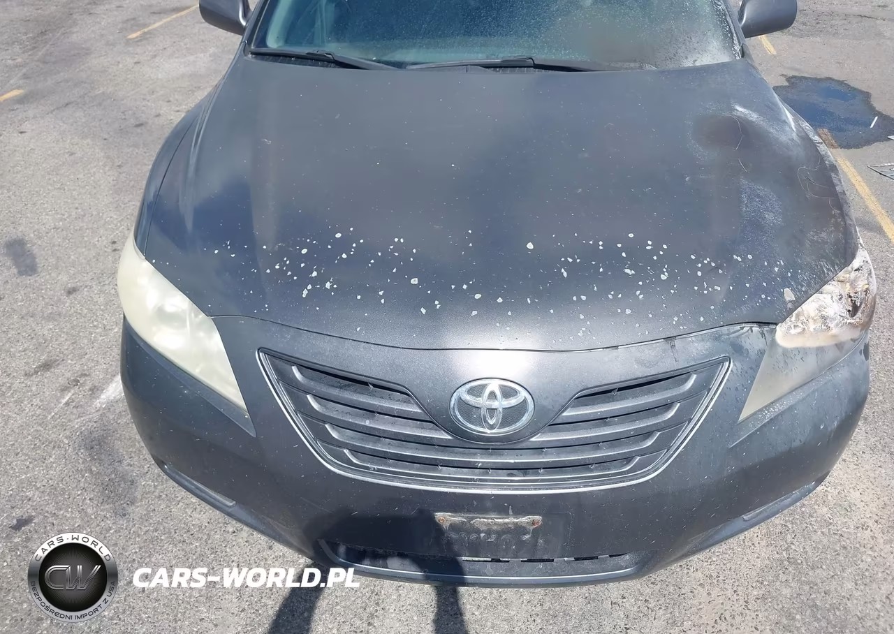2009 Toyota Camry Le VIN:4T4BE46K59R113136 - 10