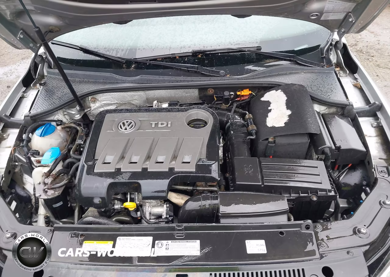 2014 Volkswagen Passat 2.0L Tdi Se VIN:1VWBN7A35EC042470 - 10