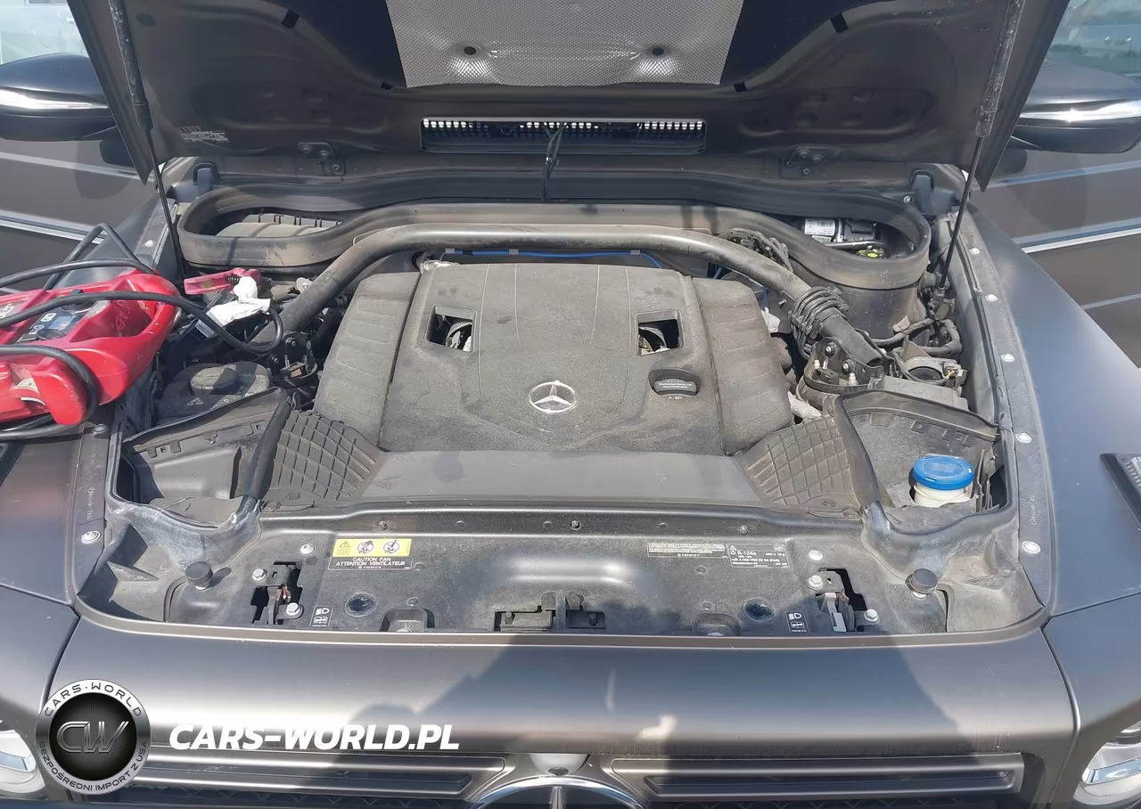 2021 Mercedes-Benz G 550 Suv VIN:W1NYC6BJ4MX368206 - 10