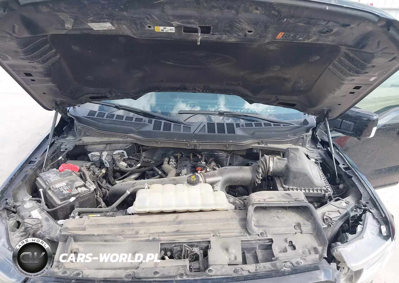 2024 Ford F-150 Lariat VIN:1FTFW5L86RFB69327 - 10